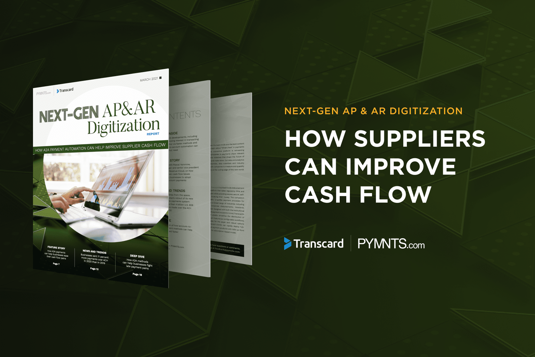 How Suppliers Can Improve Cash Flow NextGen AP & AR Digitization